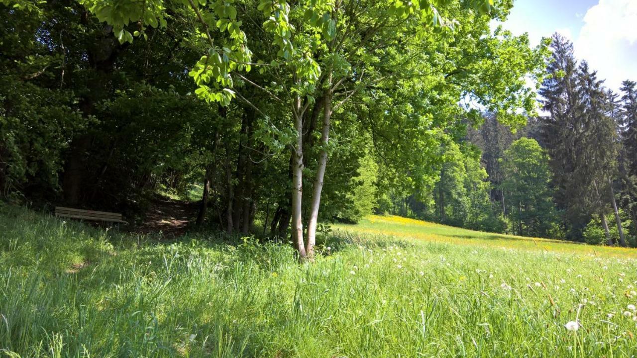 Holiday Home Zillertal - Haus Gigl Bruck am Ziller المظهر الخارجي الصورة